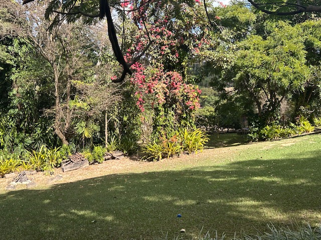 foto jpa 6 Lote 03